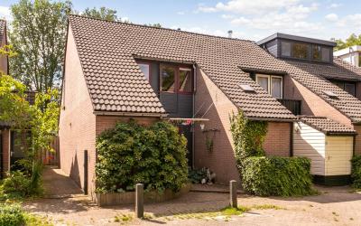Rederijkers. 13