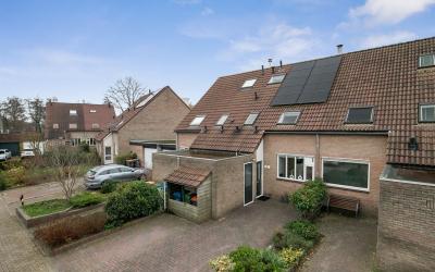 Rederijkers. 37
