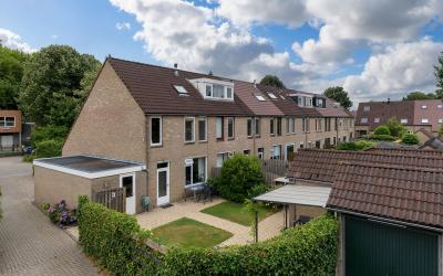 Rederijkers. 115