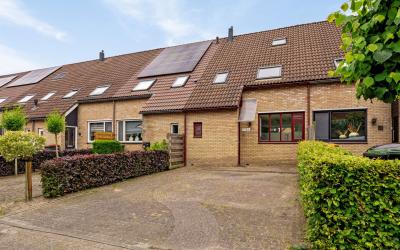 Rederijkers. 116