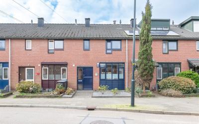 Holtrichter. 509