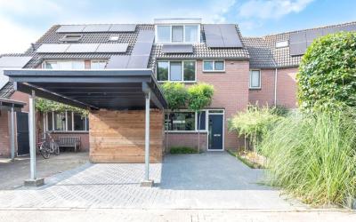 Zwaardveger. 104