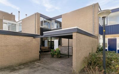 Rietdekkers. 419
