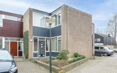 Rietdekkers. 805