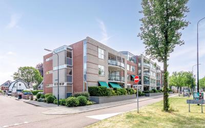 Koning Stad. 317