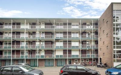 Van Houtens. 36