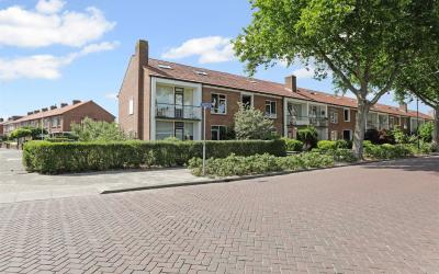 Hofveld 100