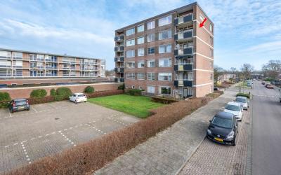 Scheldestra. 36