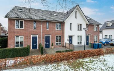 Parelhoender 70