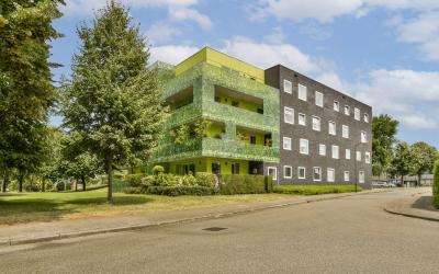 Koningspage 3-D