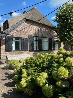 Wittekruisweg 37