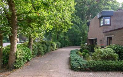 De Wiekelaar 4
