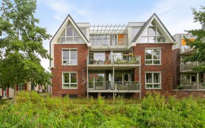 Duistervoor. 64-B
