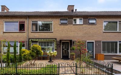 Groen van P. 31