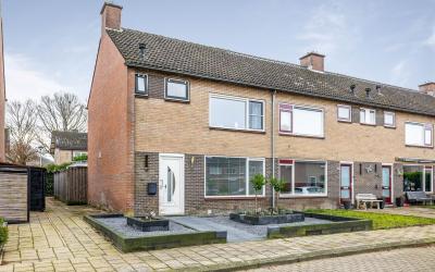 Groen van P. 41