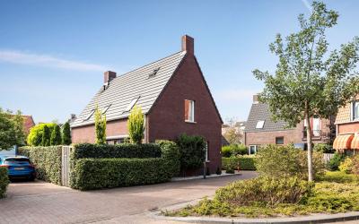 Linthorstst. 8