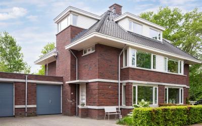 Bosgeelster 20