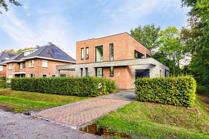 Damastbloem 17