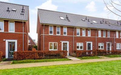 Sleutelbloem 26