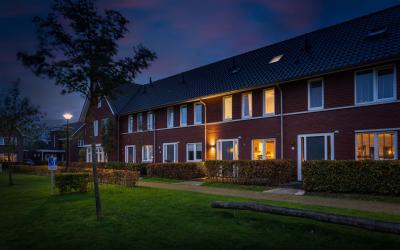 Sterhyacint 21