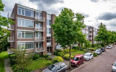 Constantijn. 142