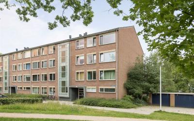 Havezatelaan 213