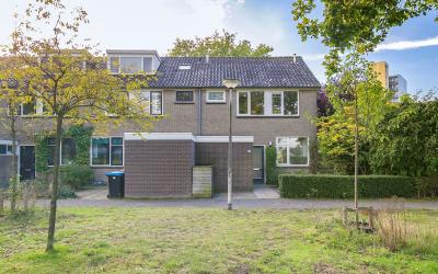 De Otter 35