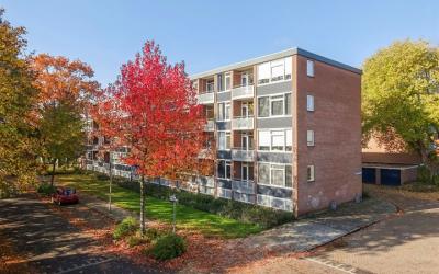 Koningin Ju. 186