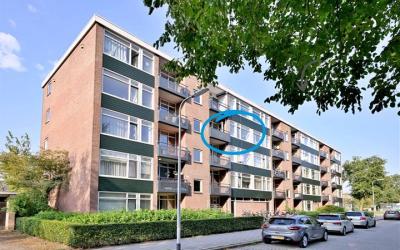 Wielingenst. 43