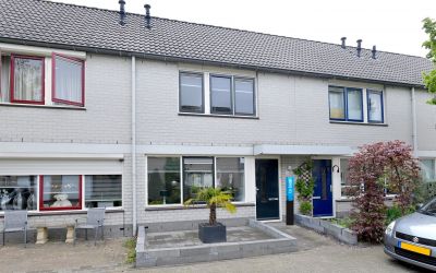 Gelderse Roos 14