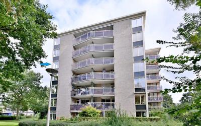 Fonteinkruid 46