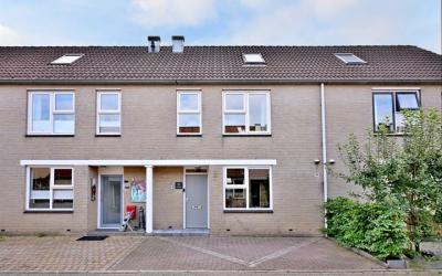 Korenbloem 52