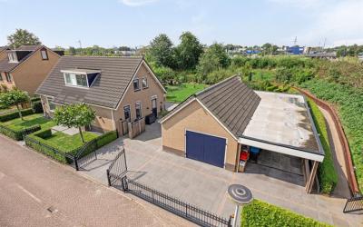 Sleutelbloem 33