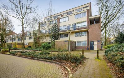 Doornenburg 704