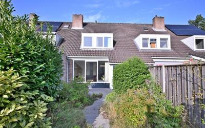 Roerdomp 24