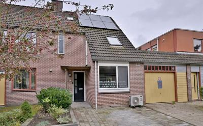 Vlaamse gaai 6