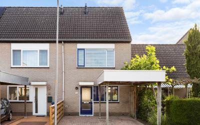Hermelijn 20