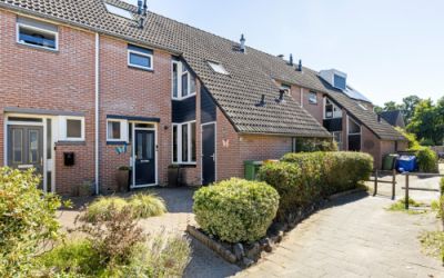 Zandkever 8
