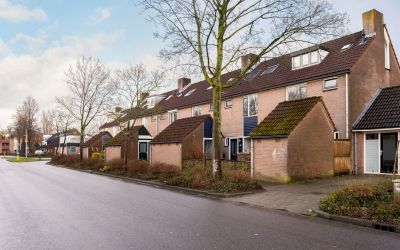 Wilgehaantje 8