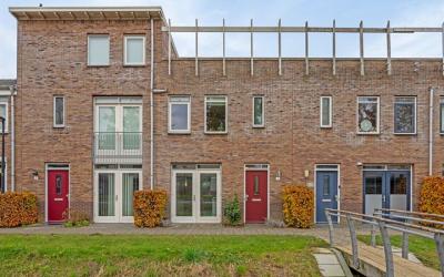 Cornelis Le. 19