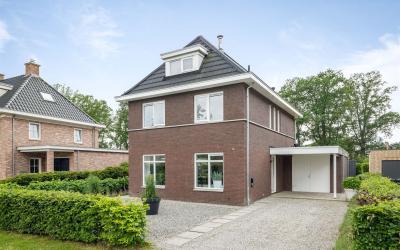 Pieter Stui. 3
