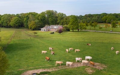Spitdijk 4