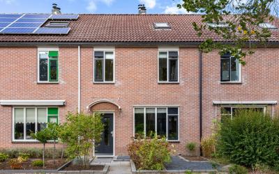 Stijne van. 15