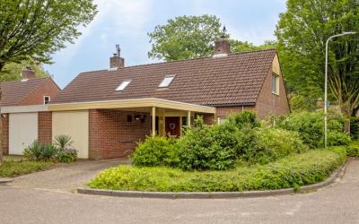 Stijne van. 22