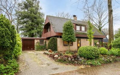 Stegemanska. 18