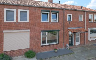 Zonnebloems. 23