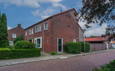 Zonnebloems. 46