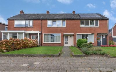 van Alphens. 7