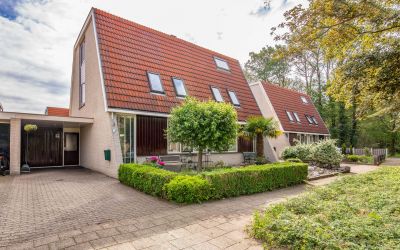 Zilverschoon 3