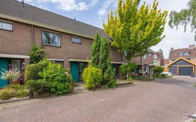 Gentiaan 13